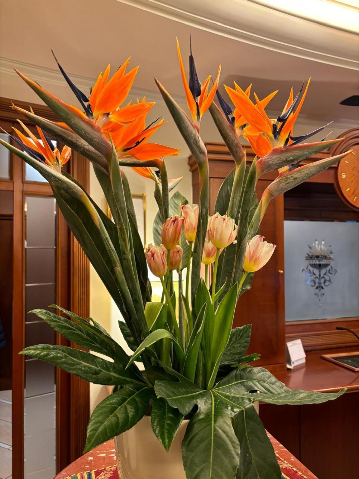 Hotel Valle Rossa 4*